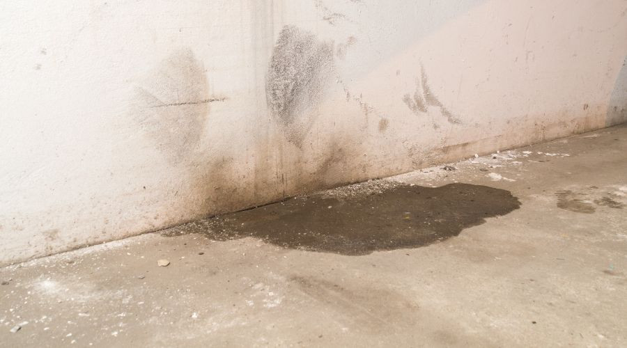 Wall with water stains and a wet concrete floor, indicating potential plumbing issues; Scott Plumbing can help.